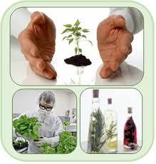 استخدام گیاه پزشک